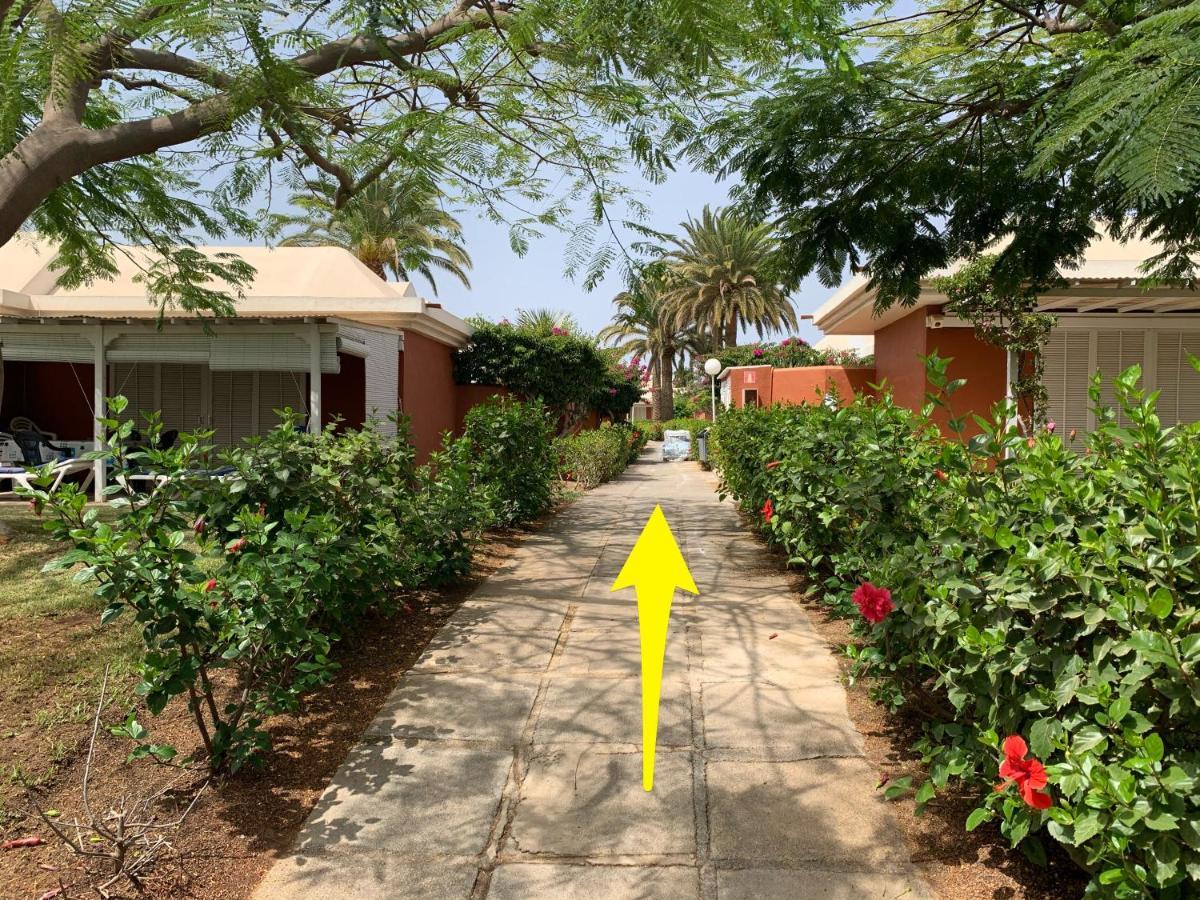 Flamboyant Tree Garden Holiday Home Maspalomas  Luaran gambar