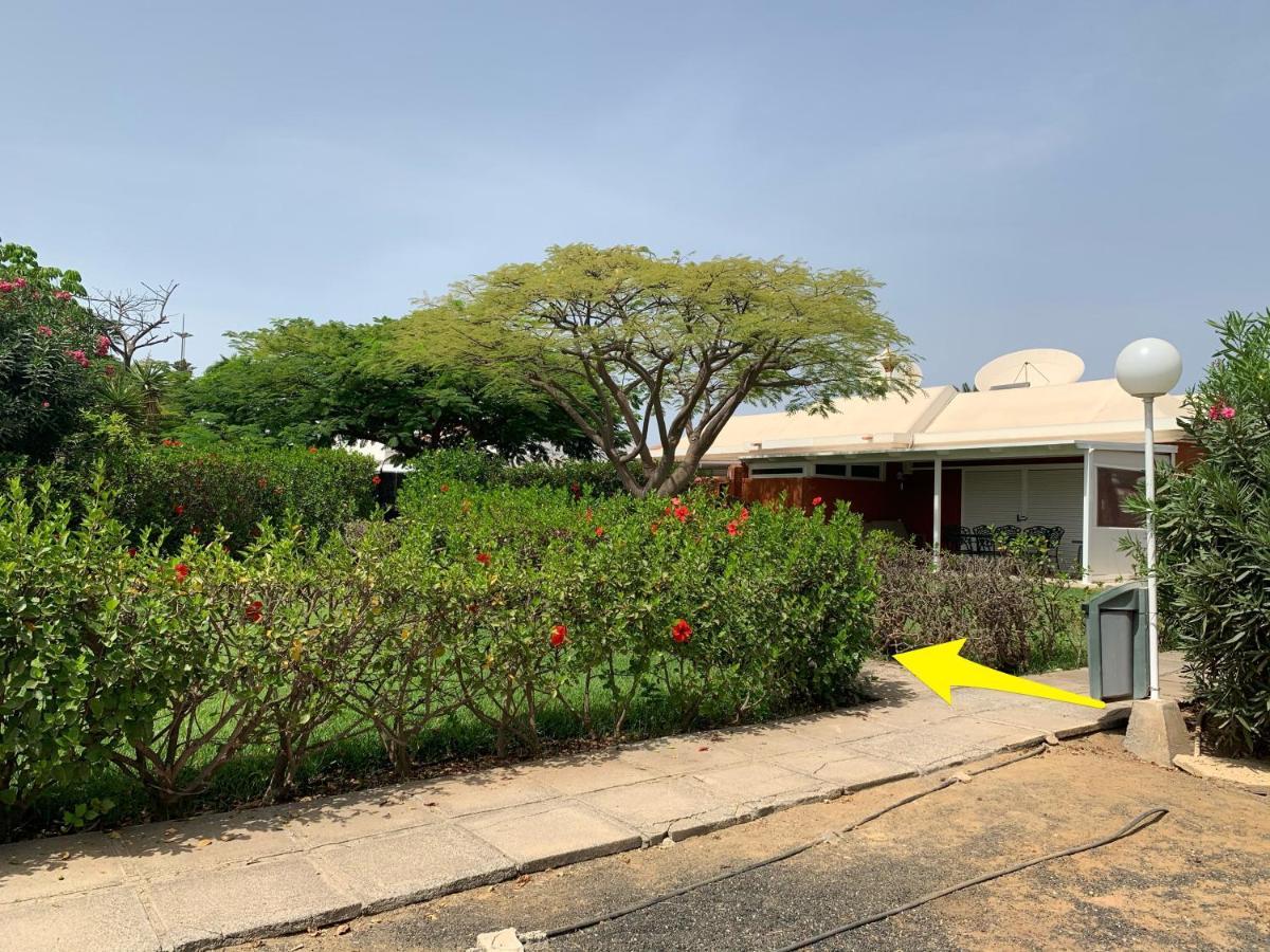 Flamboyant Tree Garden Holiday Home Maspalomas  Luaran gambar